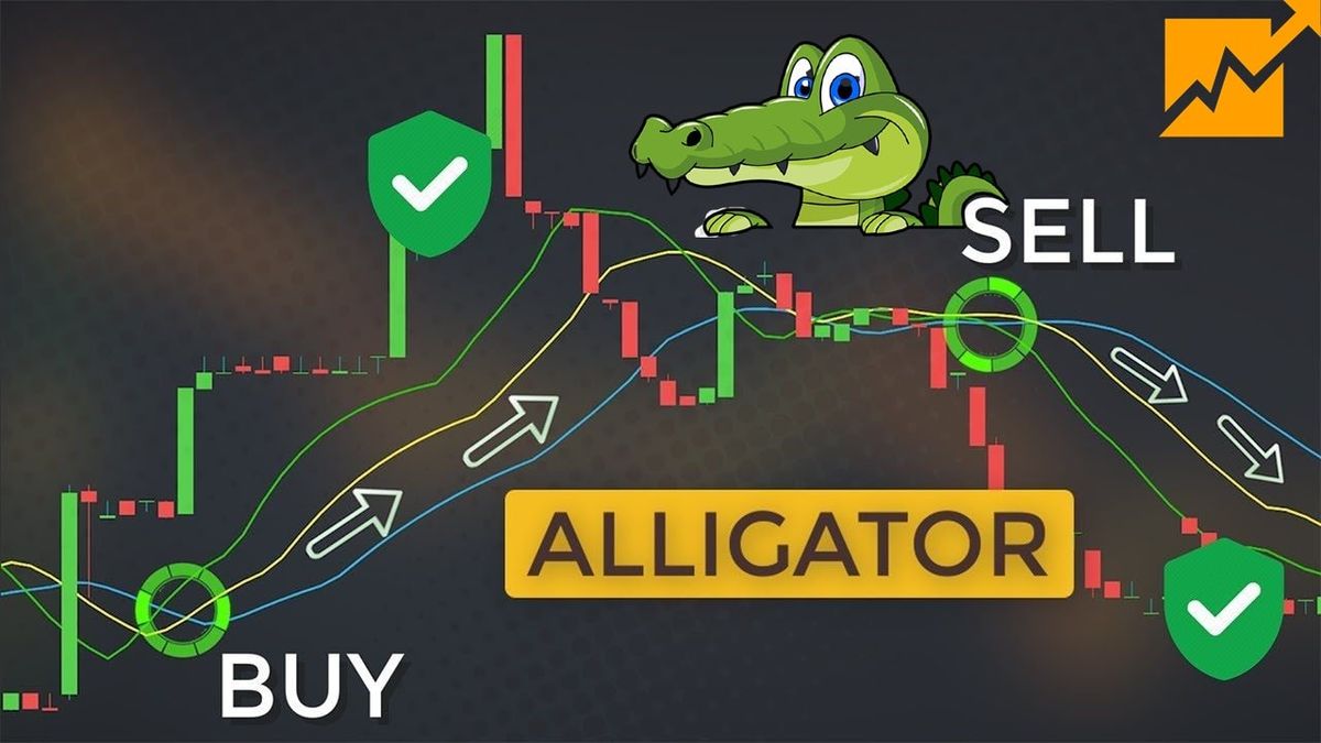Chỉ báo Alligator là gì? Cách sử dụng chỉ báo cá sấu vào lệnh hiệu quả