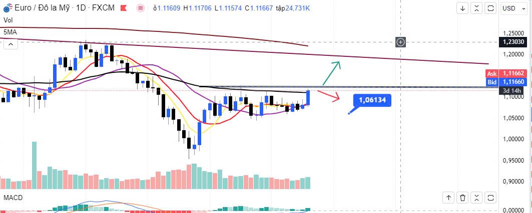 Đồng Euro có bức pha qua đỉnh cũ năm 2023