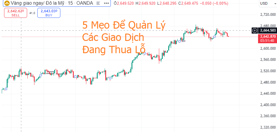 5 Mẹo Để Quản Lý Các Giao Dịch Đang Thua Lỗ