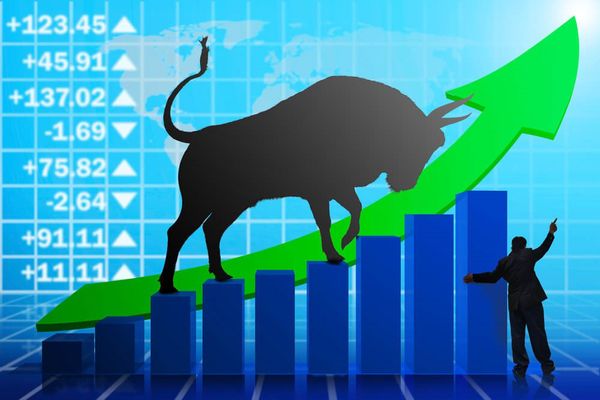 Bull Market là gì? Đặc điểm của Bull Market như thế nào? Phân biệt thị trường bò và gấu