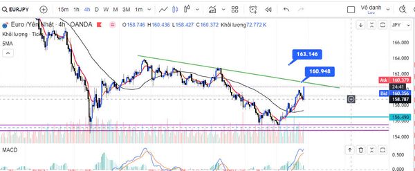 EUR/JPY tăng lên mức cao nhất trong hai tuần gần 160,00 sau quyết định lãi suất của BoJ